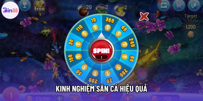 Kinh nghiệm săn cá hiệu quả